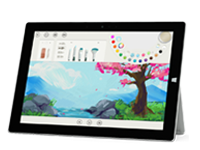 麟游Surface 无法开启、Windows 无法启动或电池无法充电